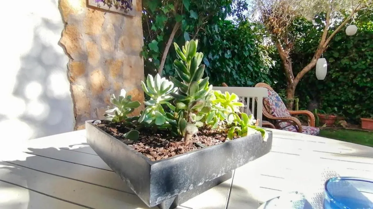 Vacay Duplex Gala, Jardin, Aire Libre, Sol, En La Costa Brava, L'Escala! Apartment Spain